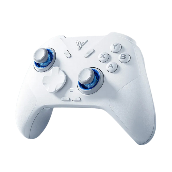 Flydigi Direwolf 4 Controller